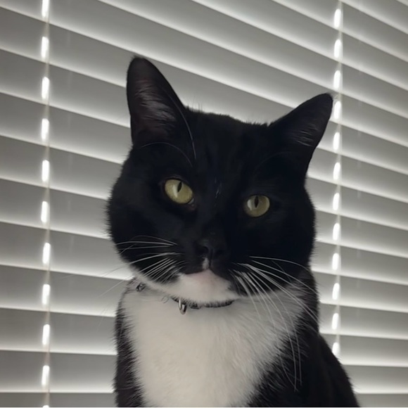 tina97396
